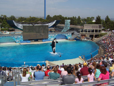 AHMP Conference - Sea World